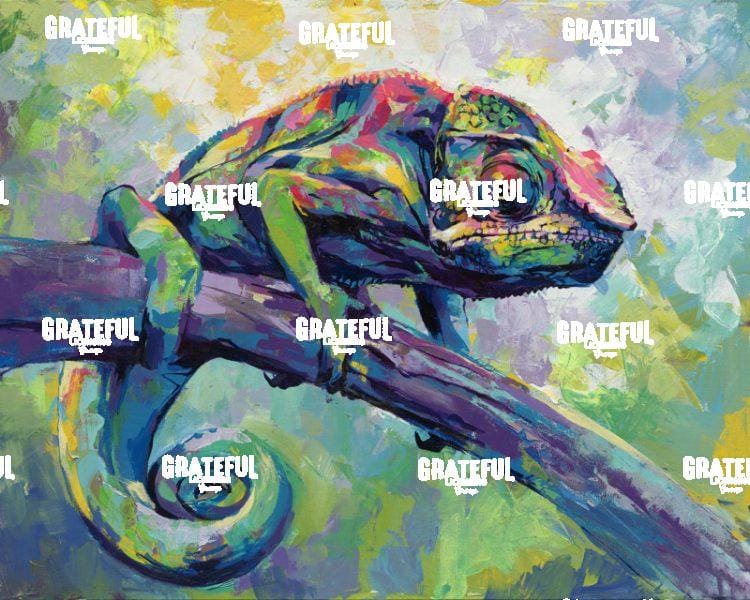 Chameleon