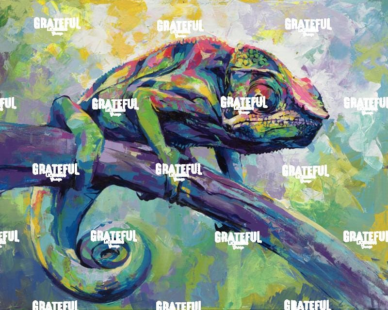 Chameleon