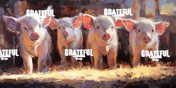 Pigsty Gang