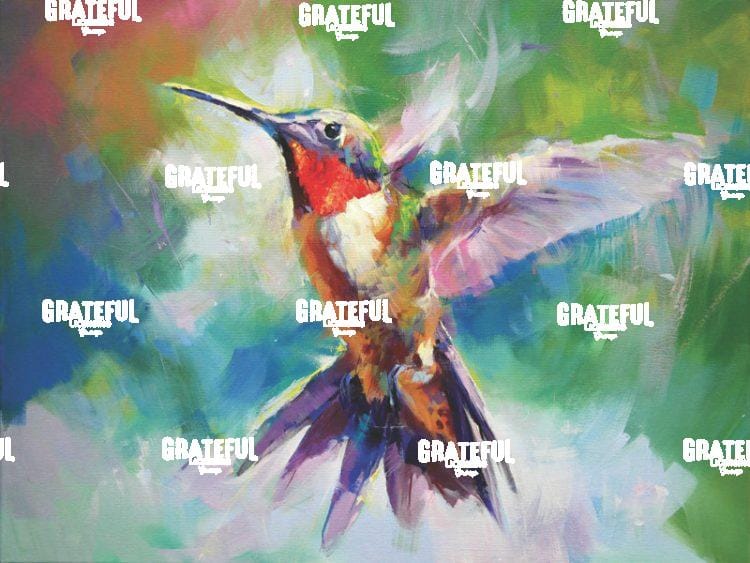 Humming Bird Passion