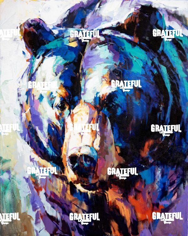 Colours Of Black Bear