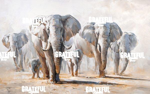 Journey Of Generations