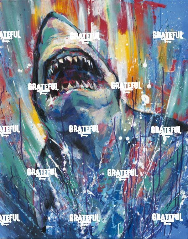 Shark Splash