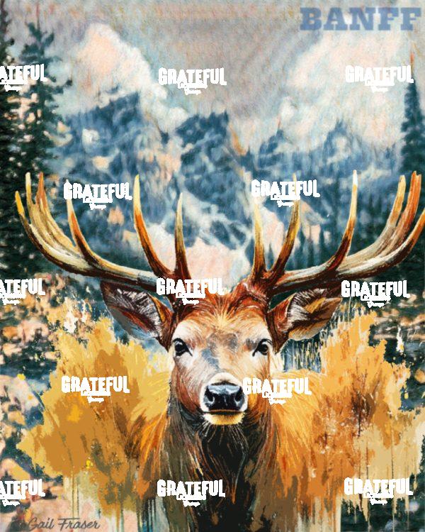 Park Rendering - Banff