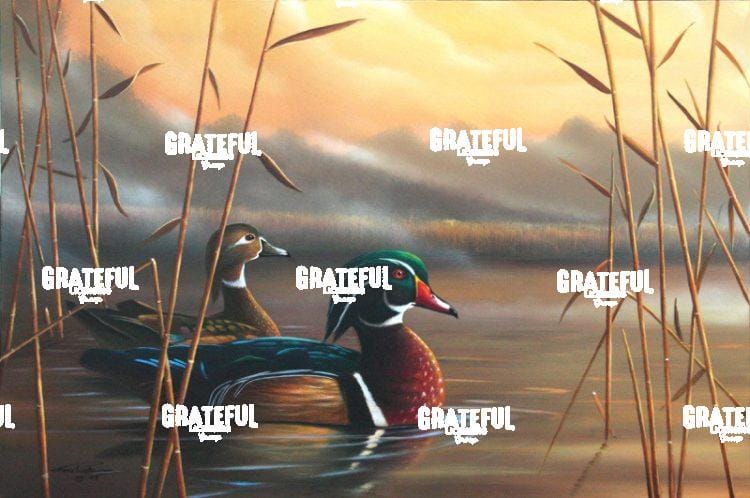 Wood Ducks