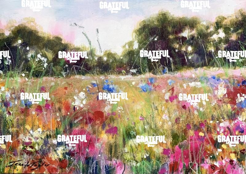 Colour Awakening 2025