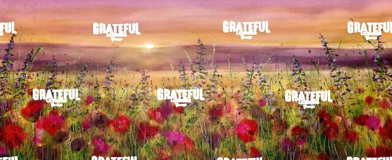 Morning Poppy Light 2025