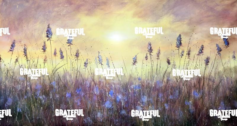 Lavender & Gold 2025