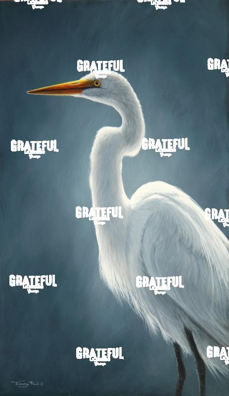 1393 Great white egret