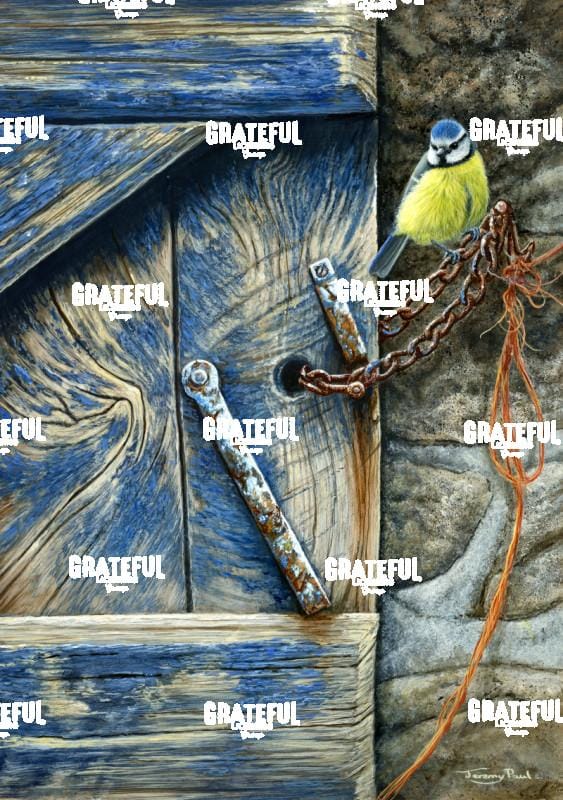 1424 weathered - blue tit