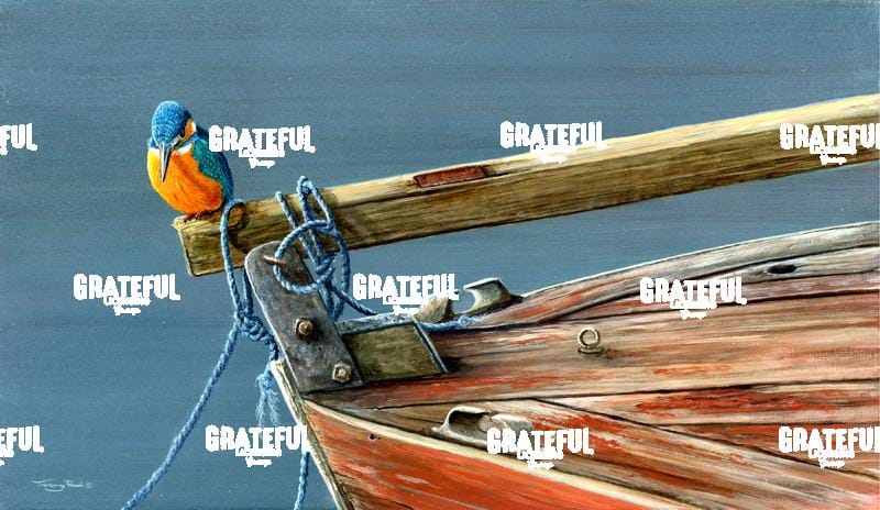 1425 Kingfisher blues