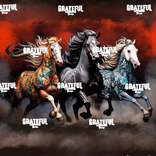 Drinkers Of The Wind - Trio