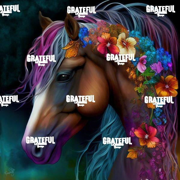 Drinkers Of The Wind - Arizona