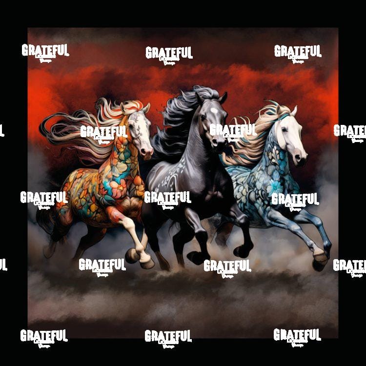 Drinkers of the Wind - Trio Border