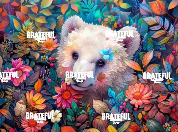 Treasured Creatures - Koda