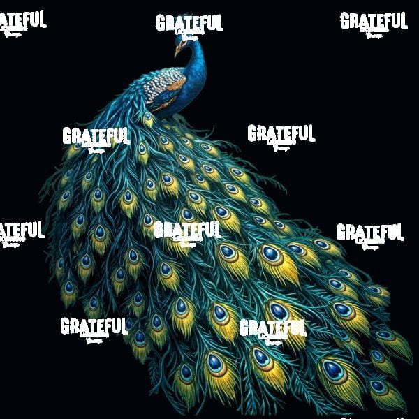 Peacock in Black