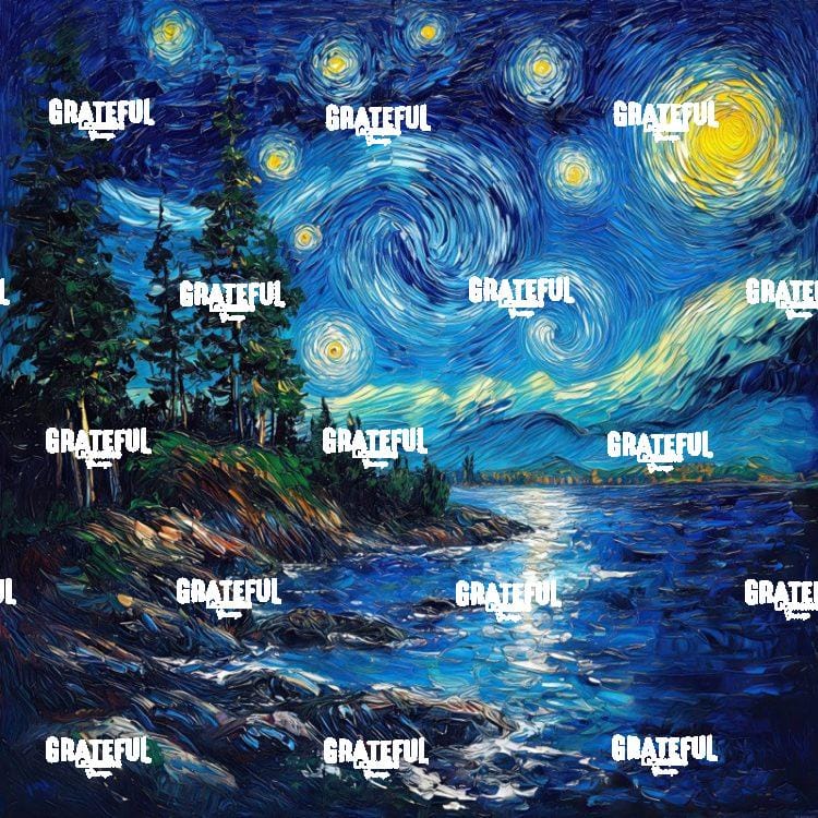 Acadia National Park Van Gogh 1