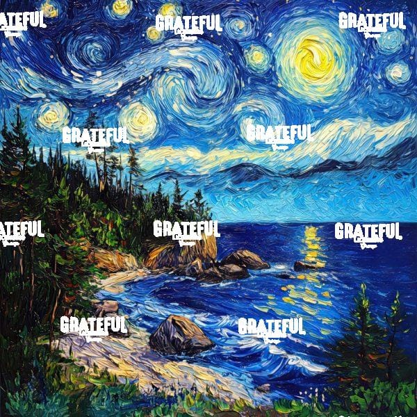 Acadia National Park Van Gogh 2