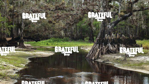 Fisheating Creek