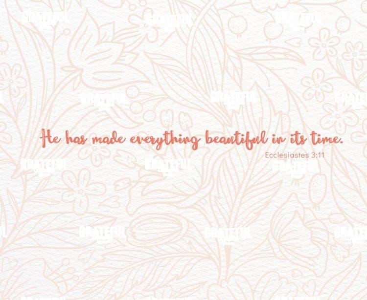 Everything beautiful