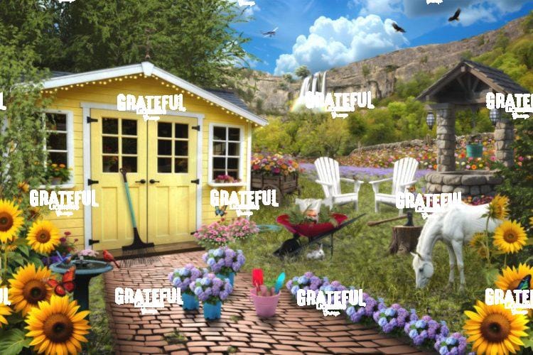She Shed