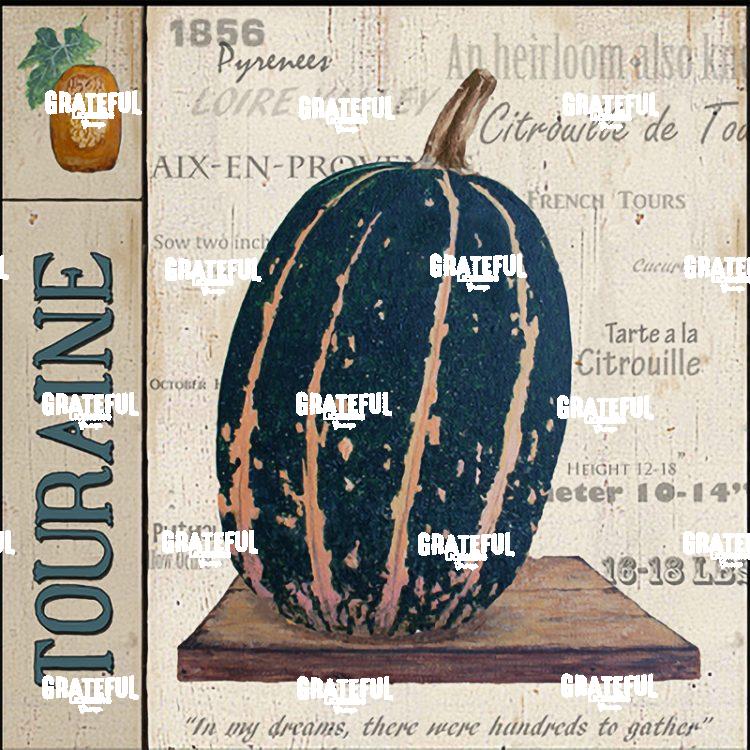 Squash - Touraine Panel