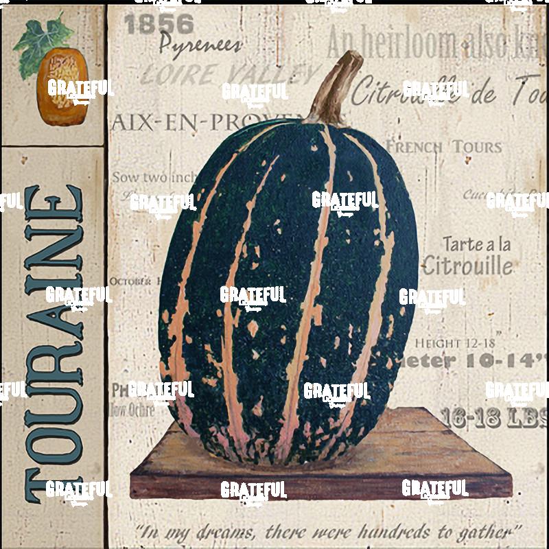 Squash - Touraine Panel