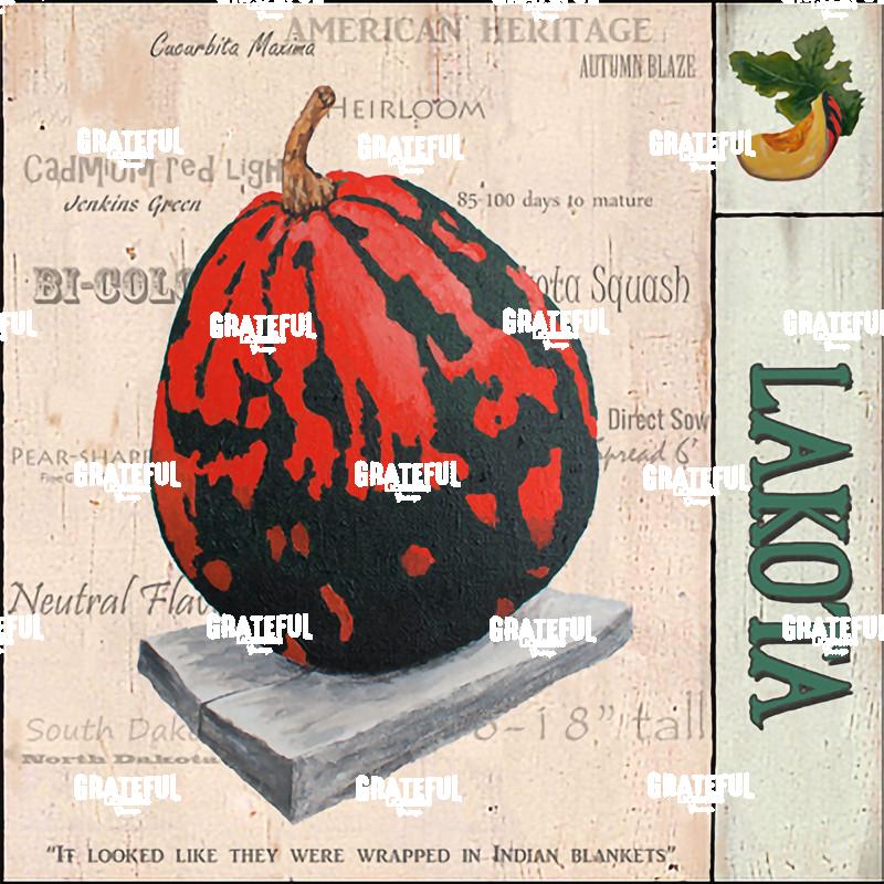 Squash - Lakota Panel