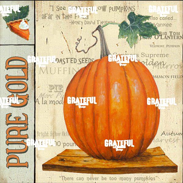 Squash - Pure Gold Panel