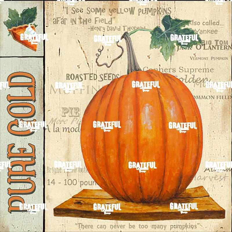 Squash - Pure Gold Panel