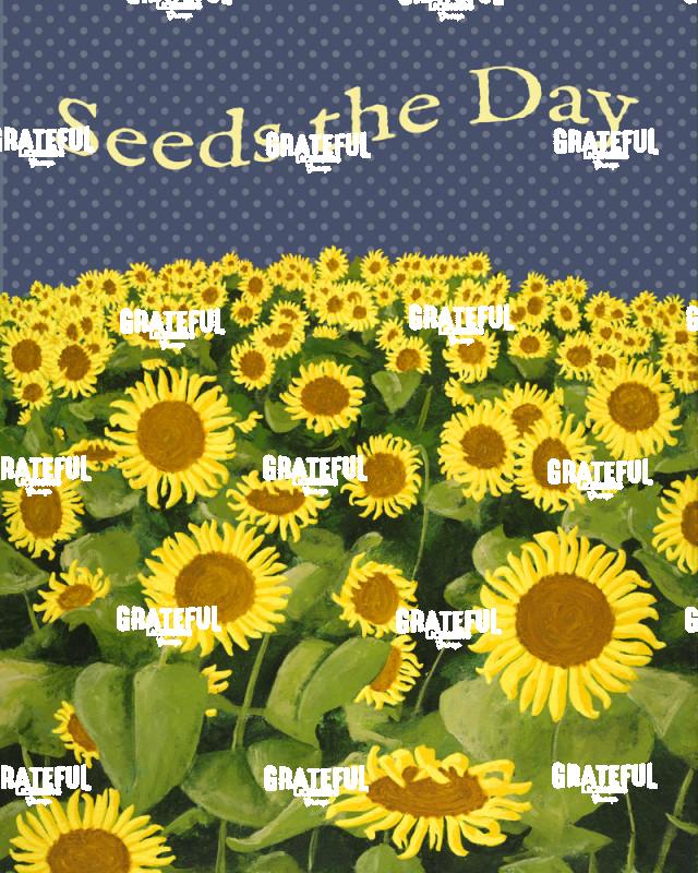 Seeds the Day