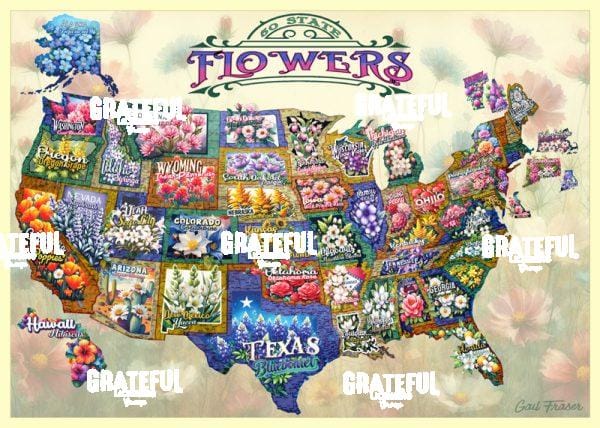 50 State Flowers
