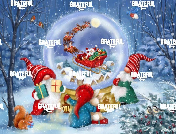Snowball and Gnomes