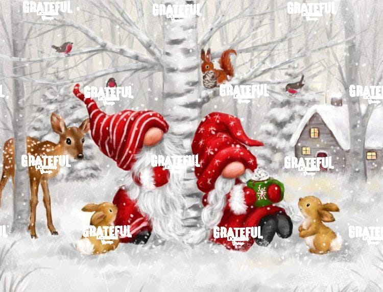 Gnomes with animals in Snowy Wood