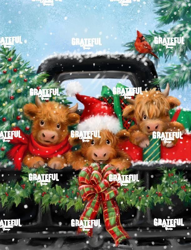 Highland Cows on Christmas Truck
