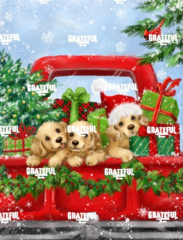 Puppies on Red Truck