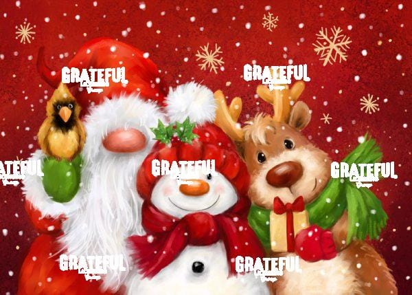 Reindeer, Snowman and Gnome