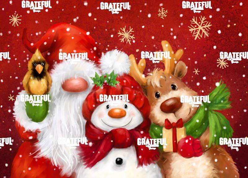 Reindeer, Snowman and Gnome