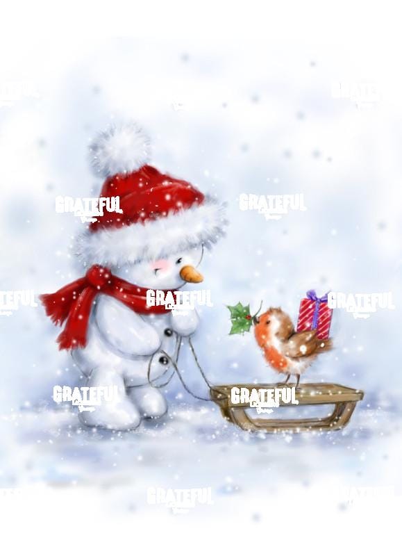 Snowman and Robin