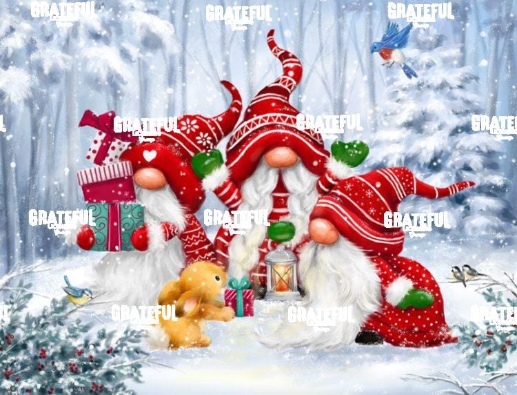 Christmas Gnomes with Rabbit