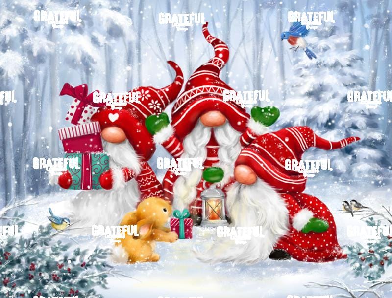 Christmas Gnomes with Rabbit