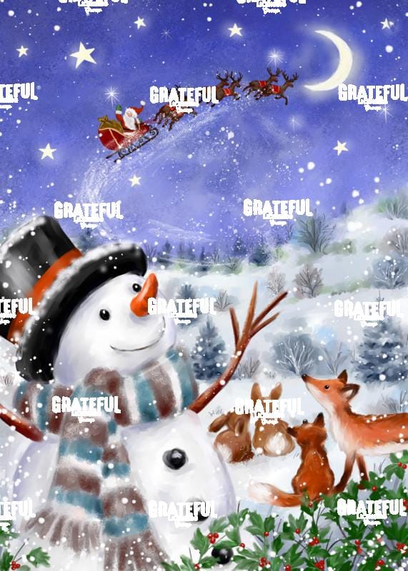 Snowman Looking at Santa