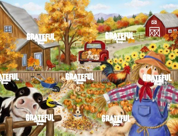 Fall Garden
