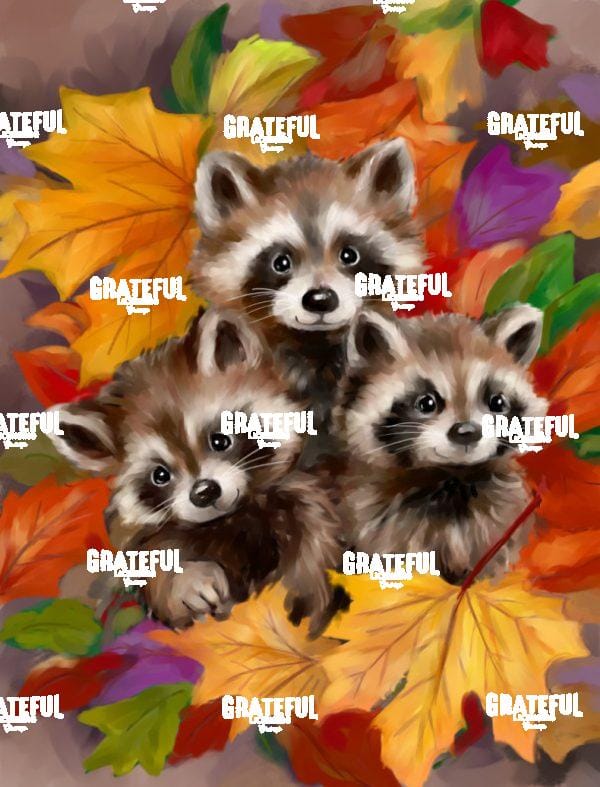 Three Raccoons in Autumn