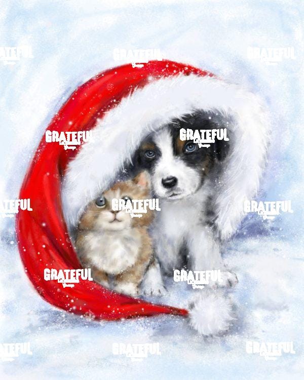 Dog and Cat Under Santa's Hat