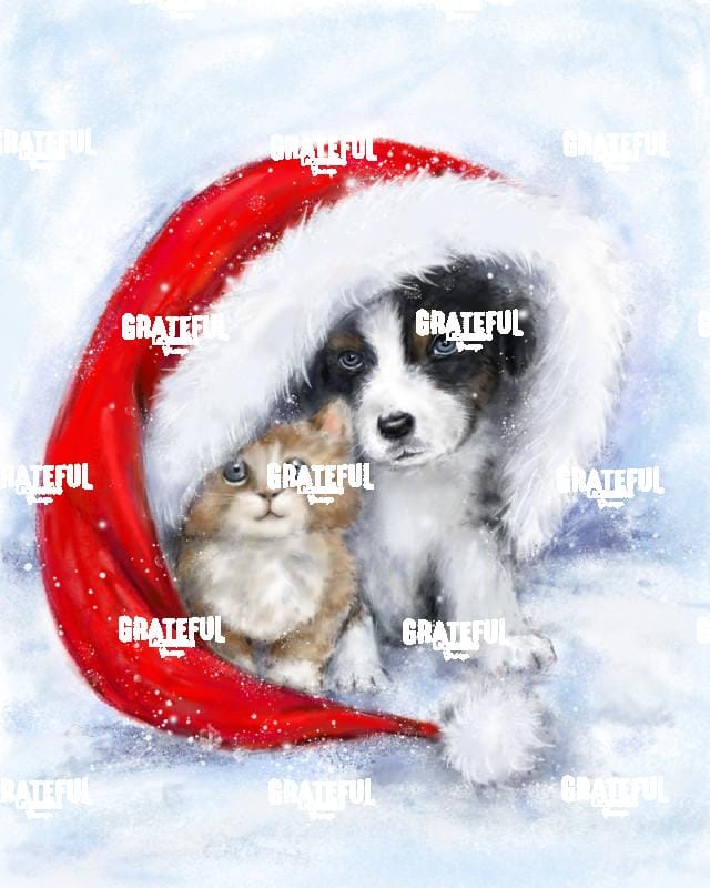 Dog and Cat Under Santa's Hat