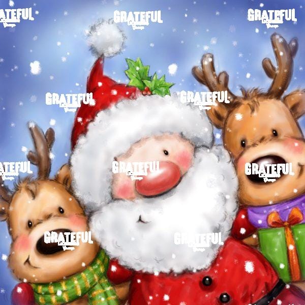 Santa & Two Reindeer