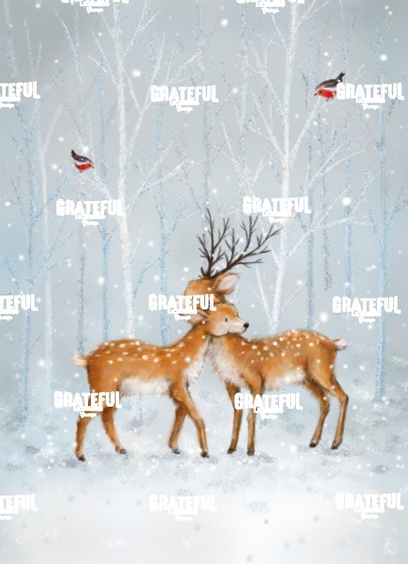 Deer Couple in Woods