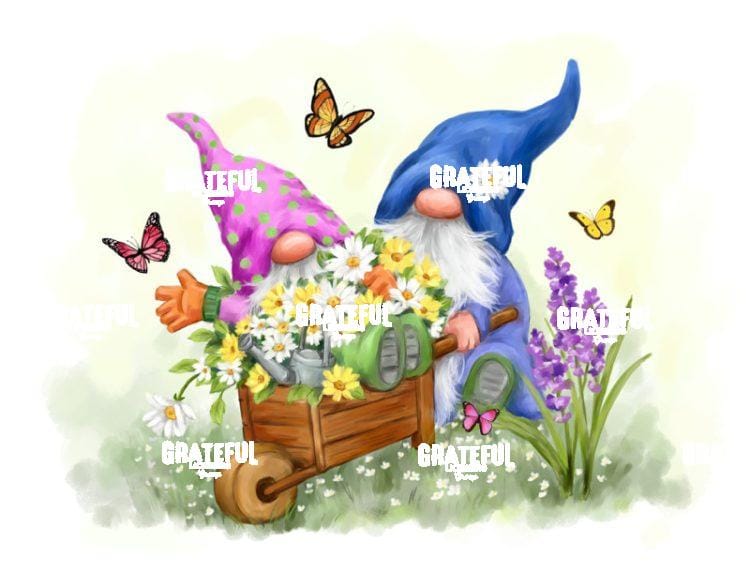 Spring Gnomes