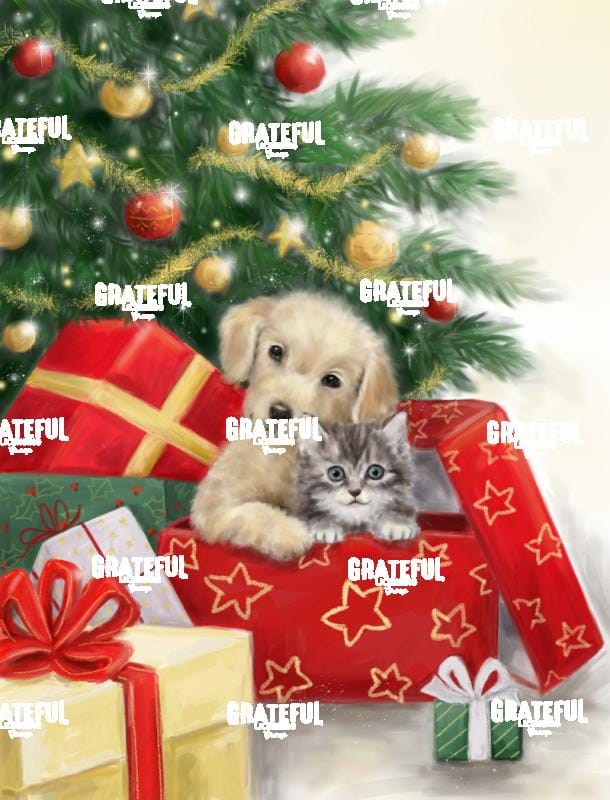 Christmas Dog & Cat in Box